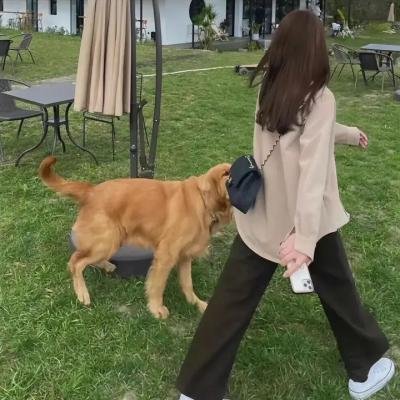 32颗药丸：我姐姐的自杀