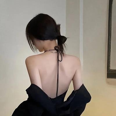 戴洛奇小镇第一季