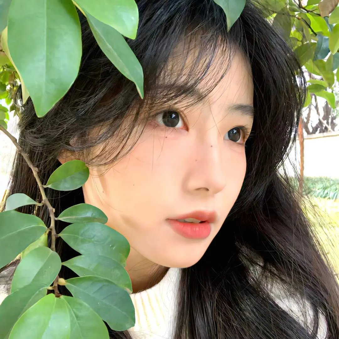 阴羚
